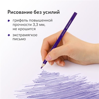 Карандаши цветные BRAUBERG PREMIUM, 12 цветов, шестигранные, грифель 3,3 мм, натуральное дерево, 181656