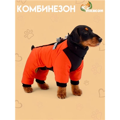Комбинезон "Тренд", оксфорд, L (ДС 32, ОШ 33, ОГ 43 см, вес 9-11 кг), оранжевый