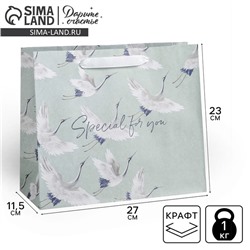 Пакет подарочный крафтовый горизонтальный, упаковка, Special for you, 27 х 23 х 11,5 см