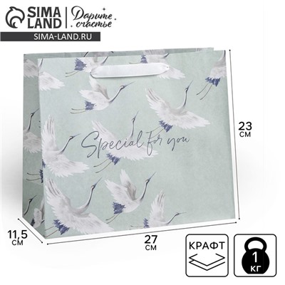 Пакет подарочный крафтовый горизонтальный, упаковка, Special for you, 27 х 23 х 11,5 см
