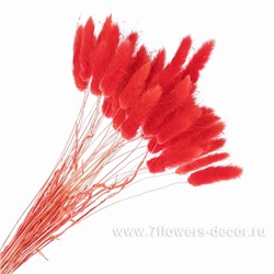 Набор лагуруса, 65см, (50шт)