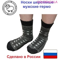 Носки - термо (до -30) 41-45 Арт7