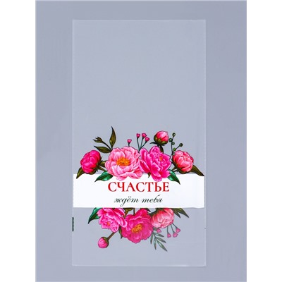 Пакет фасовочный БОПП, «Счастье ждет тебя» 20×35 см