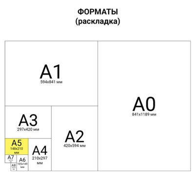 Тетрадь на кольцах А5 160х215 мм, 80 л., пластик, клетка, BRAUBERG, "Красный", 403252