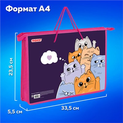 Папка на молнии с ручками ПИФАГОР А4, 1 отделение, пластик, ручки-шнурок, "Cats greetings", 272111