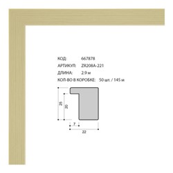 Багет пластиковый 22х25 ZR208A-221 /уп 145м/