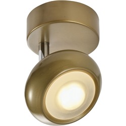 Нарушена упаковка!   Спот Toplight Carissa  TL1244Y-01SG