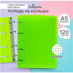 Тетрадь на кольцах A5 120 листов в клетку Calligrata Салатовая, пластиковая обложка, блок офсет