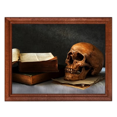 POSG-0098 Постер в рамке 23x17см Череп и книги