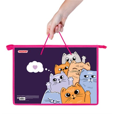Папка на молнии с ручками ПИФАГОР А4, 1 отделение, пластик, ручки-шнурок, "Cats greetings", 272111