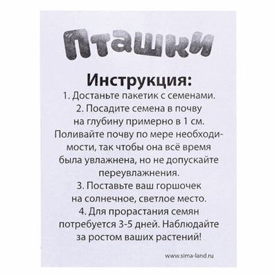 Набор для опытов "Пташки, выращиваем травку", фиолетовый горшочек, 5155390