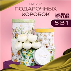 Набор шляпных коробок для цветов 5 в 1, упаковка подарочная, «Ромашки», 16 × 14 см - 22×19.5 см
