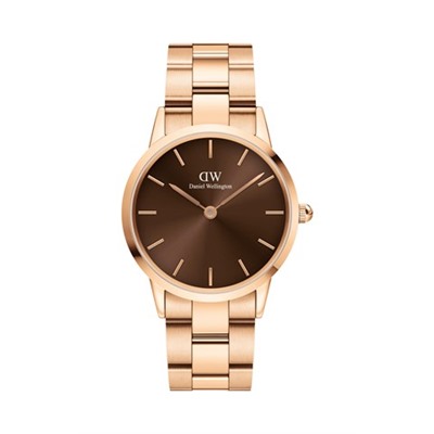 Reloj de cuarzo de acero y chapado en oro rosa Link Amber 32