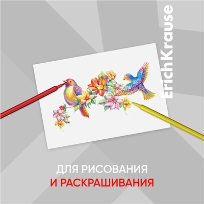 Фломастеры 12 цветов ErichKrause "Basic", на водной основ, вентилируемый колпачок