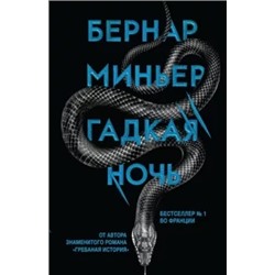 Бернар Миньер: Гадкая ночь