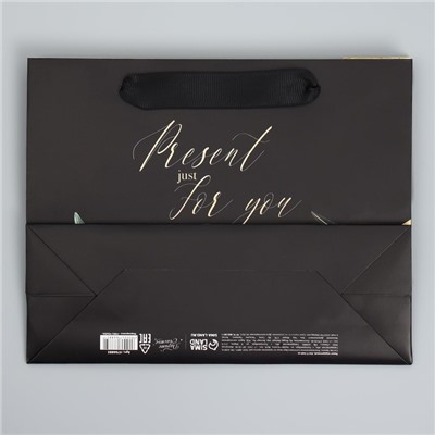 Пакет подарочный ламинированный горизонтальный, упаковка, «Present just for you», 22 х 17.5 х 8 см
