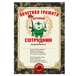 Почетная грамота "Лучший сотрудник"