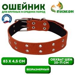 Ошейник кожаный на синтепоне, безразмерный, 83 х 4.5 см, ОШ 20-71 см, оранжевый