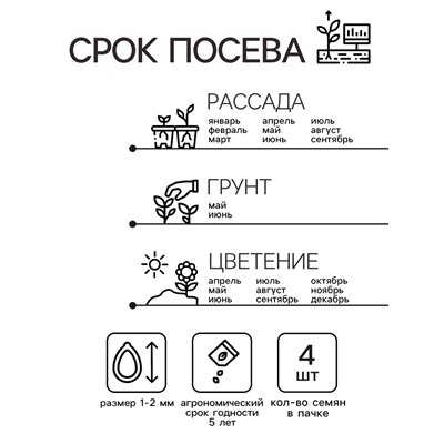 Семена цветов Пеларгония "Дансер Дип Роуз", зональная, Сем. Алт, ц/п, 3 шт