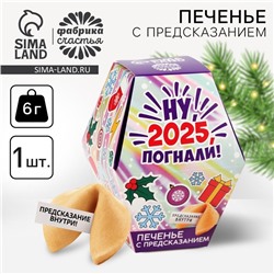 Печенье с предсказаниями на новый год в коробке «Ну, 2025, погнали»
