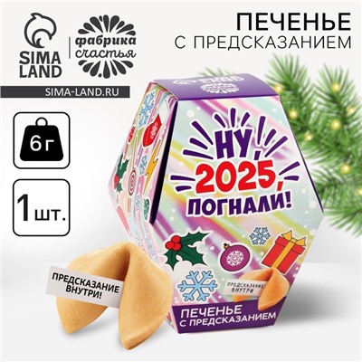Печенье с предсказаниями на новый год в коробке «Ну, 2025, погнали»