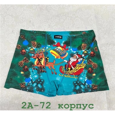 Трусы 05.12.