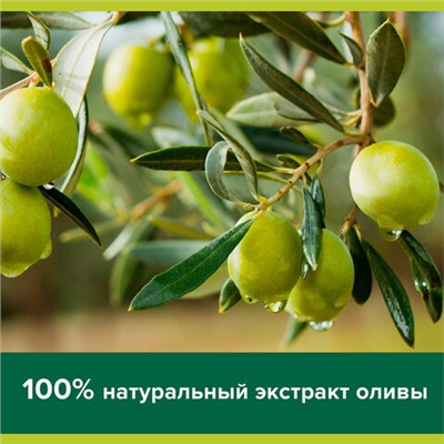 Мыло туалетное 90 г, PALMOLIVE НАТУРЭЛЬ "Олива и увлажняющее молочко", интенсивное увлажнение, 32766, 8693495032766
