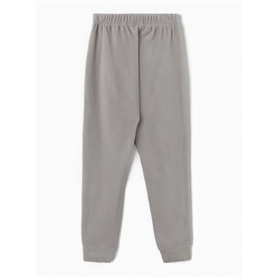 Брюки флисовые мужские спортивные MINAKU: Fleece Soft цвет серый, р-р 48