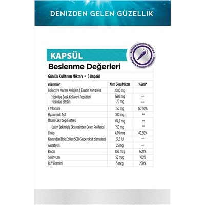 Zade Vital Marine Collagen Hyaluronic Acid 40 Bitkisel Sert Kapsül