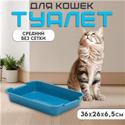 Туалет средний без сетки 36 х 26 х 6,5 см, синий