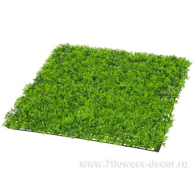 Искусственная панель "Самшит", 50x50 см