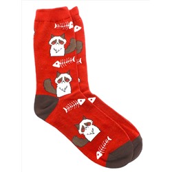 Носки р.35-40 Голодный Котик