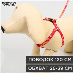 Шлейка GlaМууур, 26-39 см, поводок 120×1 см