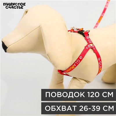 Шлейка GlaМууур, 26-39 см, поводок 120×1 см
