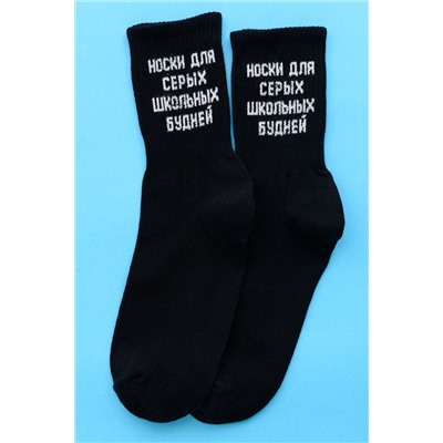 Носки мужские Школьные будни (набор 2 пары)