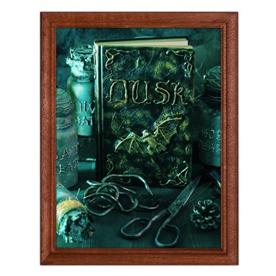 POSV-0048 Постер в рамке 17x23см Книга сумерек