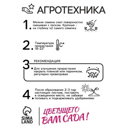 Семена цветов Ранункулюс "Блюмингдейл", 5 шт.