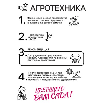 Семена цветов Петуния "Е3 Изи Вейв Вайт F1", 5 шт