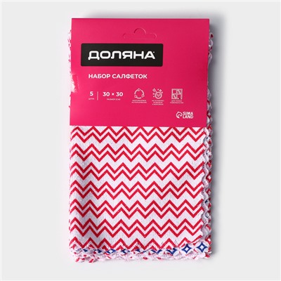 Салфетка для уборки Доляна «С Новым Годом», 5 шт, 220 г/м², 30×30 см, микрофибра, МИКС