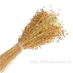 Букет из сухих колосовых культур (лен, овес), H50 см