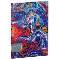 Папка на 2 кольцах Berlingo "Color Storm", 24мм, 600мкм, D-кольца, с внутр. карманом, с рисунком