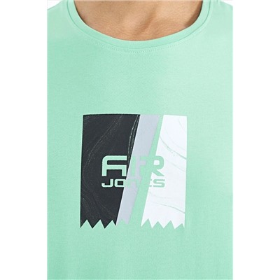 Мужская футболка Frank Water Green Standard Fit — 88219 A11ER-88219