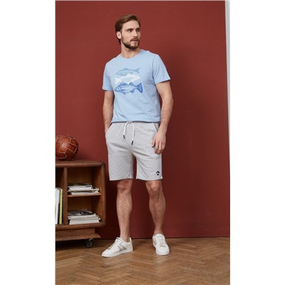 Футболка F311-06-734 grey-blue