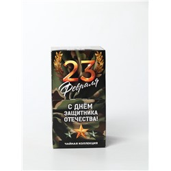 Чай подарочный «С днём защитника отечества», 20 пакетиков