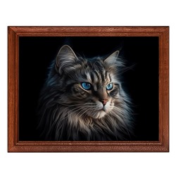POSG-0319 Постер в рамке 23x17см Кот
