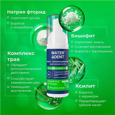 Пенка Waterdent Комплексный уход