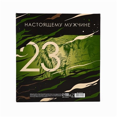 Подарочный набор «23 февраля медведь», ежедневник в твердой обложке А5, 80 л, термостакан 350 мл