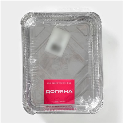 Форма из фольги для выпечки и запекания Доляна, 1,1 л, 225×175×35 мм, 2 шт