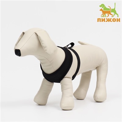 Шлейка мягкая из неопрена, размер XL, ОШ 42 см, ОГ 38-50 см, чёрная