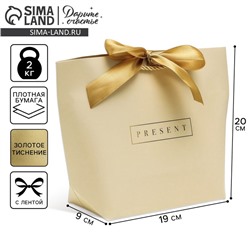 Пакет подарочный, упаковка, Present, 19 х 20 х 9 см